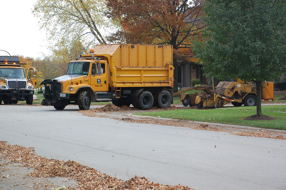 Bulk curbside leaf collection is in progress Positively Naperville