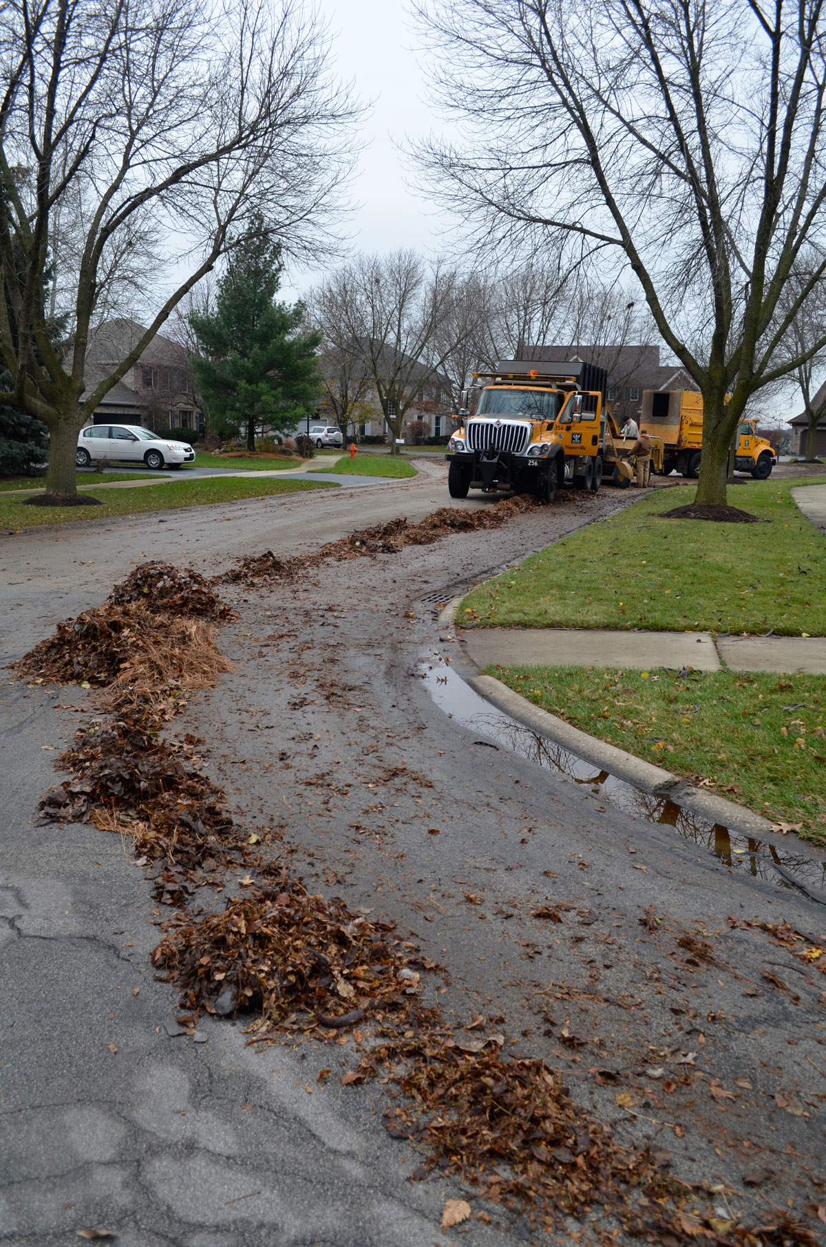 Naperville brush collection begins May 18 Positively Naperville
