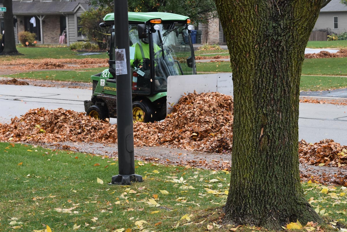 Naperville adds extra leaf collection cycle through Dec. 2 Positively